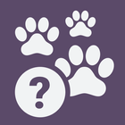 Quiz School | Dog breeds иконка