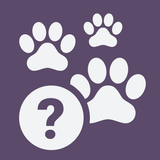 Quizz School | Races de chiens