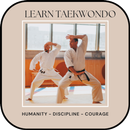 Learn taekwondo training APK