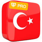Learn Turkish Offline Pro icône
