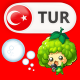 Learn Turkish for Kids ícone