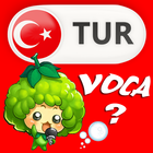 Learn Turkish Vocabulary Game icône