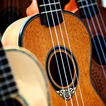 Learn To Play Ukulele - Ukulel