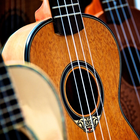 Learn To Play Ukulele - Ukulel أيقونة