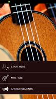 Learn To Play Ukulele - Ukulel الملصق