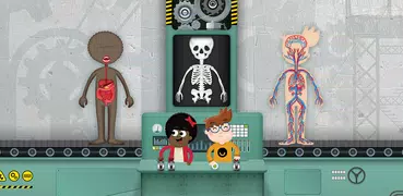 How does The Human Body Work?