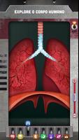 Como o Corpo Humano Funciona? Cartaz