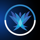 Training Camp Exam Prep APK
