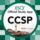 CCSP icon