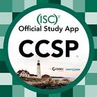 CCSP أيقونة