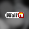 Walftv Senegal en direct APK