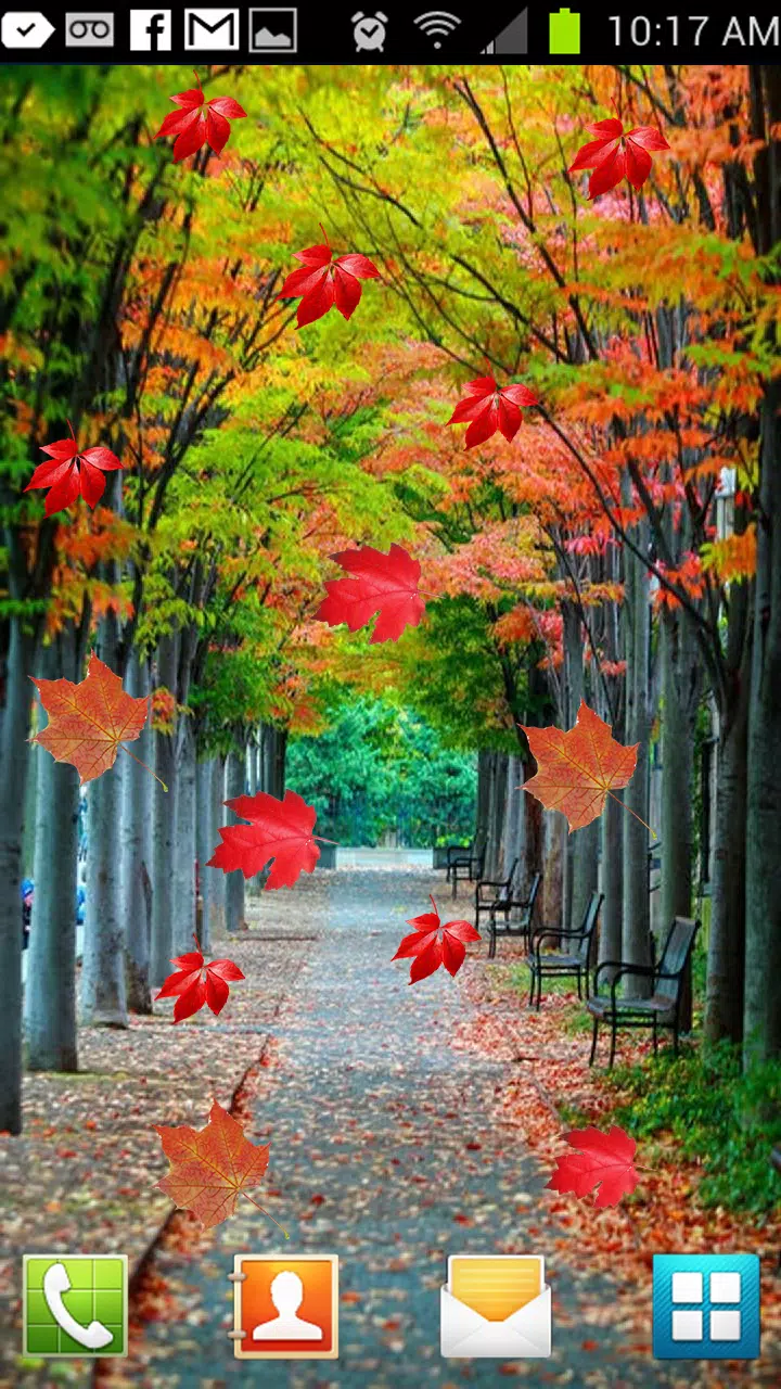 Animated Leaf HD Live wallpaper 2019 APK for Android Download Animated Leaf HD Live wallpaper 2019 APK for Android Download