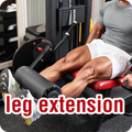 leg extension
