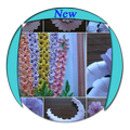 Paper Quilling Tutorial