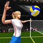 Volleyball 3D Champions icon