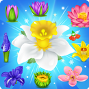 Blossom Charming: Flower games APK