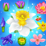 Blossom Charming: Flower games