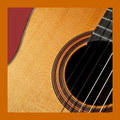 Lernen Sie Gitarre zu spielen