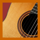 Learn Play Guitar 4 Beginner icon