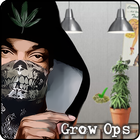 Weed Firm Game - Grow ops icône