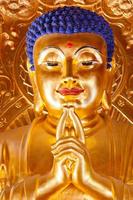 Buddha Wallpapers Backgrounds স্ক্রিনশট 2