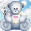 Christmas & Winter Teddy Lite