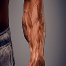 APK Forearms exercises without weights