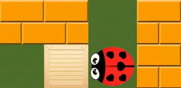 Box Move  [Sokoban]