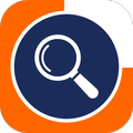 SFL Inspector