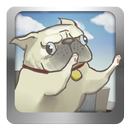 Booboo Jump aplikacja