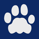 Leon APK