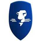 LEO News ícone