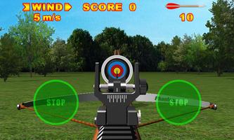 Crossbow Shooting deluxe Plakat
