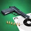 Pistol Shooting. Gun Simulator