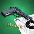 Pistol Shooting. Gun Simulator