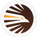 Hawk APK