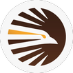 Hawk icon