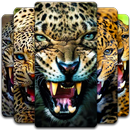 Leopard Wallpaper APK