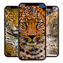 Leopard Wallpaper APK
