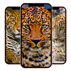 Leopard Wallpaper icône