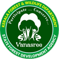 Vanasree