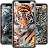 Fondo de pantalla de leopardo APK