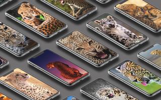 Leopard Wallpaper Plakat