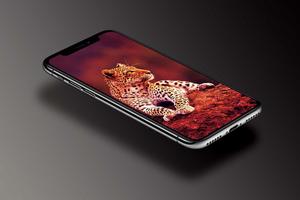 Leopard Wallpaper Screenshot 2