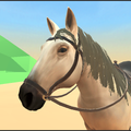 Horse Care 3D