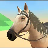 Horse Care 3D
