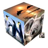 AndrFamCube أيقونة