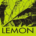 Lemon Consultech