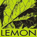 Lemon Flutter APK