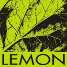 Lemon Flutter biểu tượng